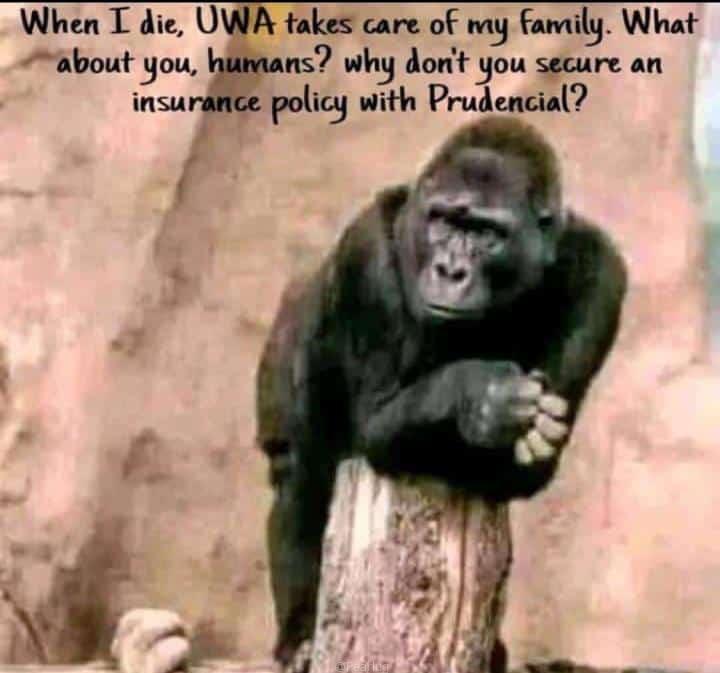 Life insurance