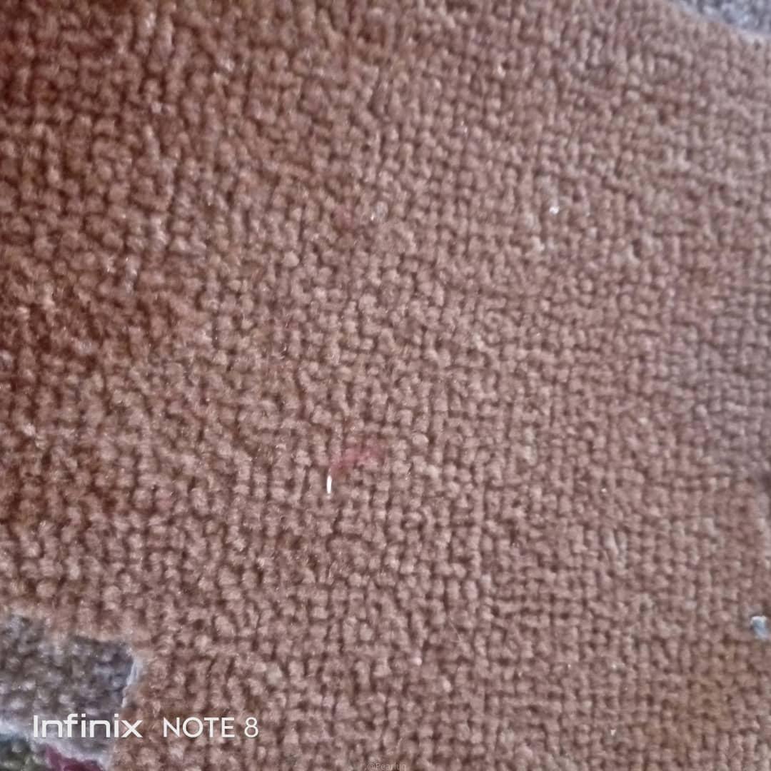 WOOLEN CARPET FOR OFFICE