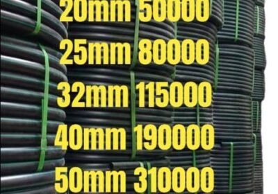 1000081001