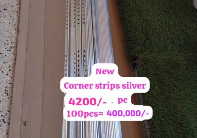 1000081389-3