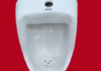1000092973