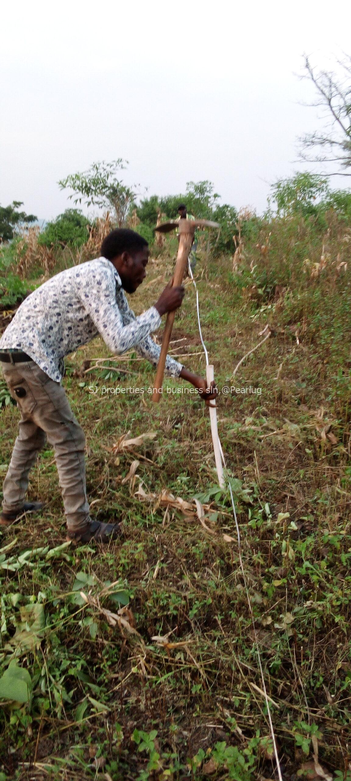 Kayunga mpigi