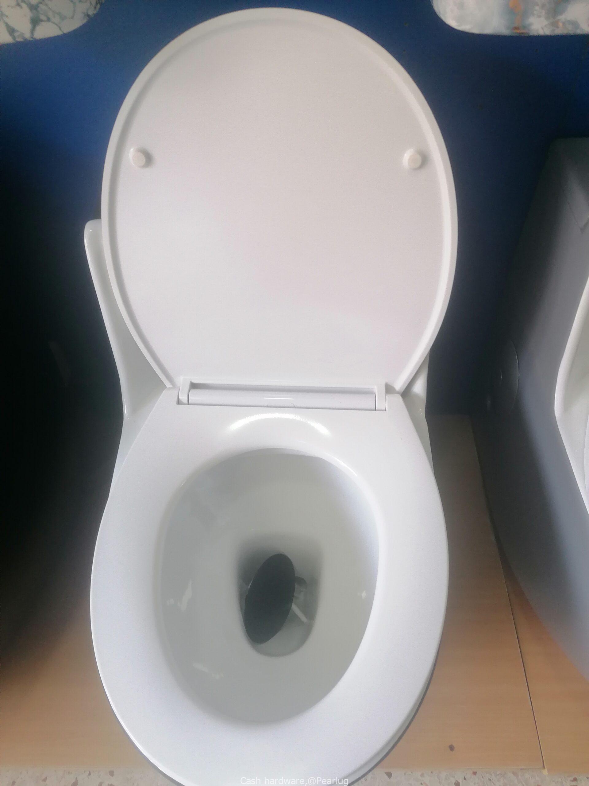 Sitting toilets
