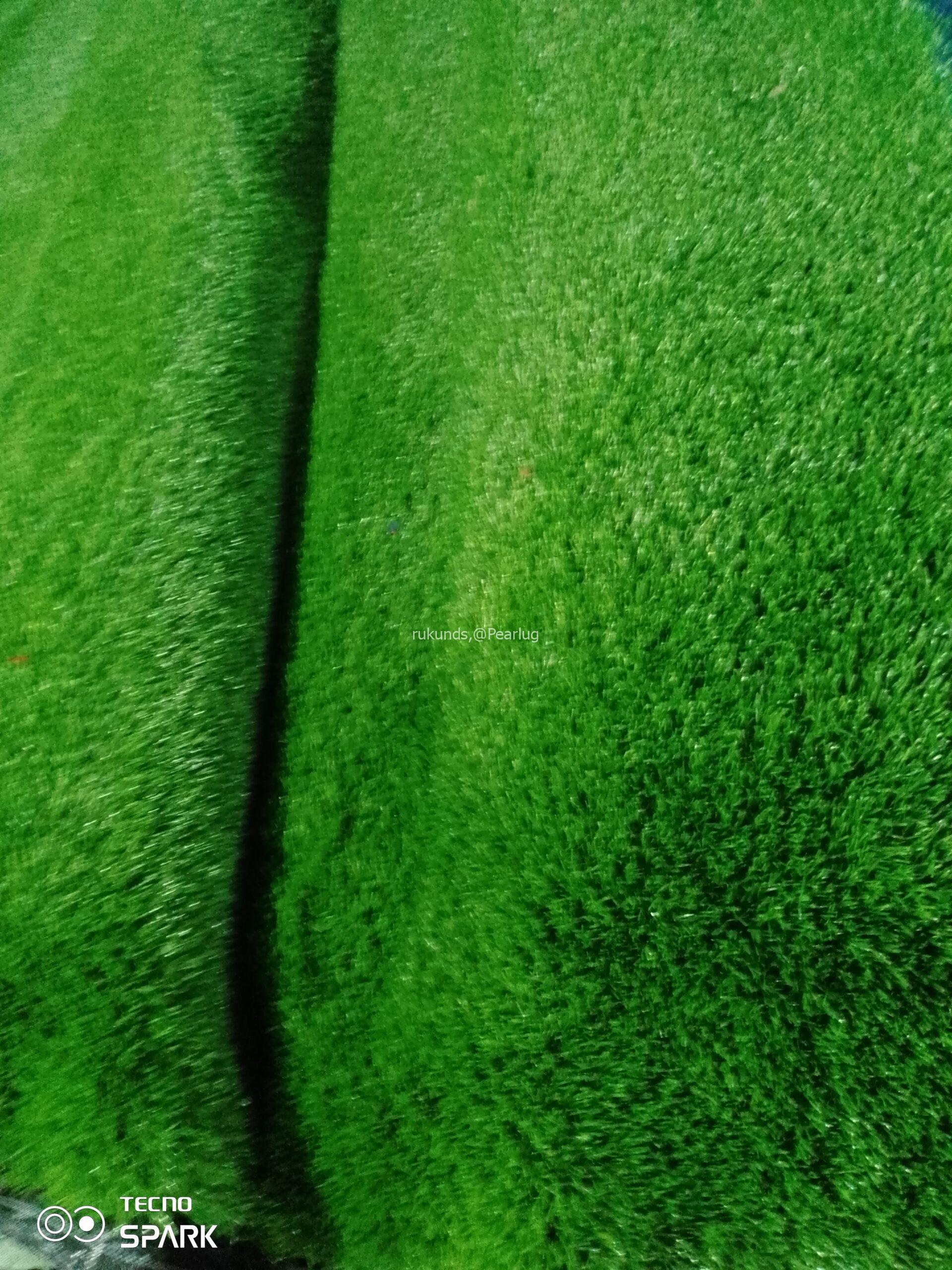 Green grass carpet