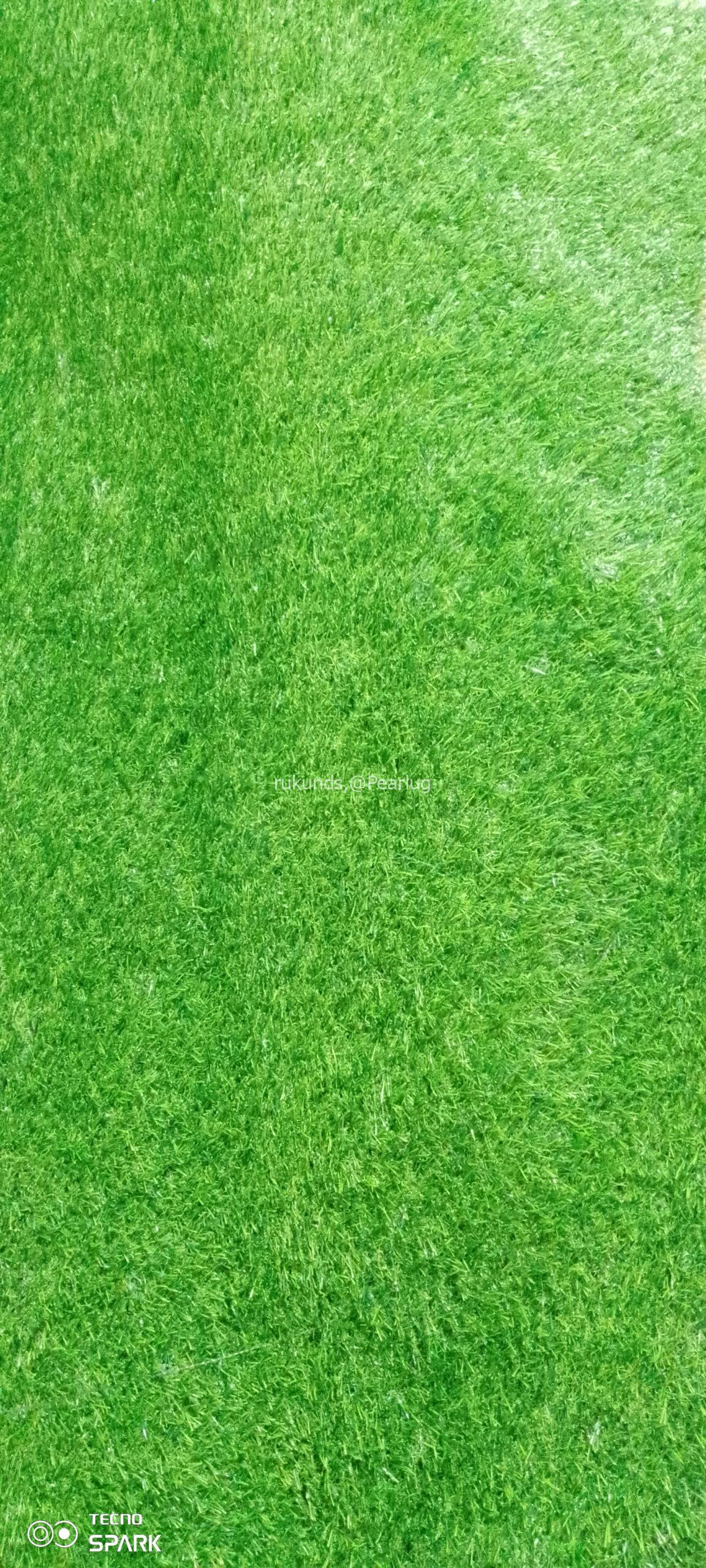 Green grass carpet