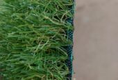 GREEN CARPET AVAILABLE