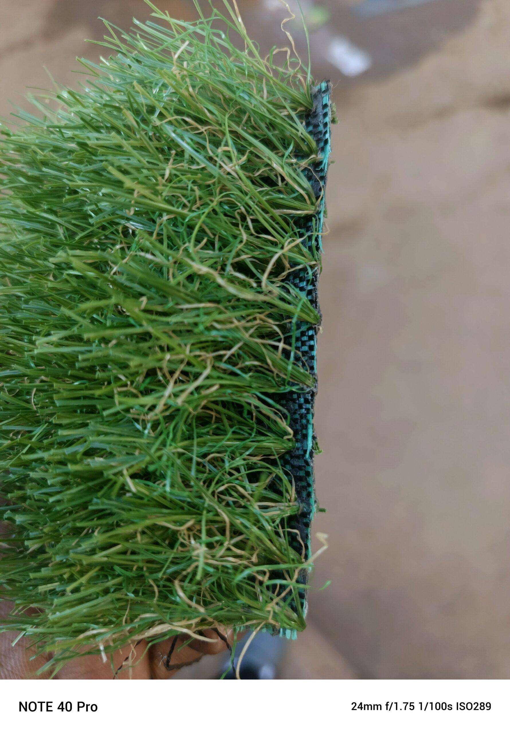 GREEN CARPET AVAILABLE