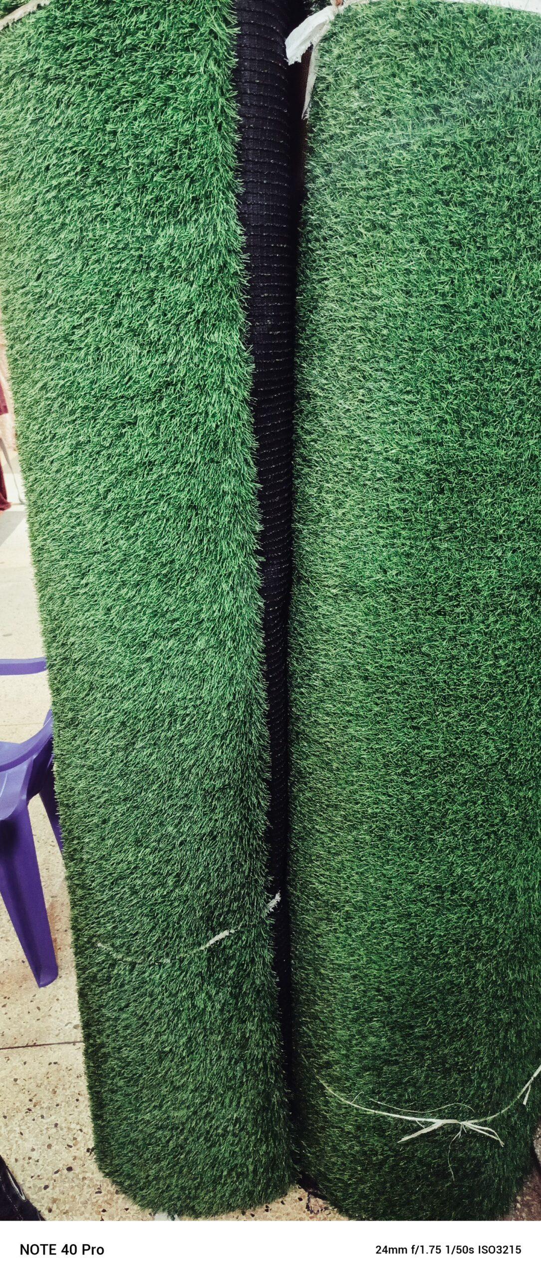 GREEN CARPET AVAILABLE