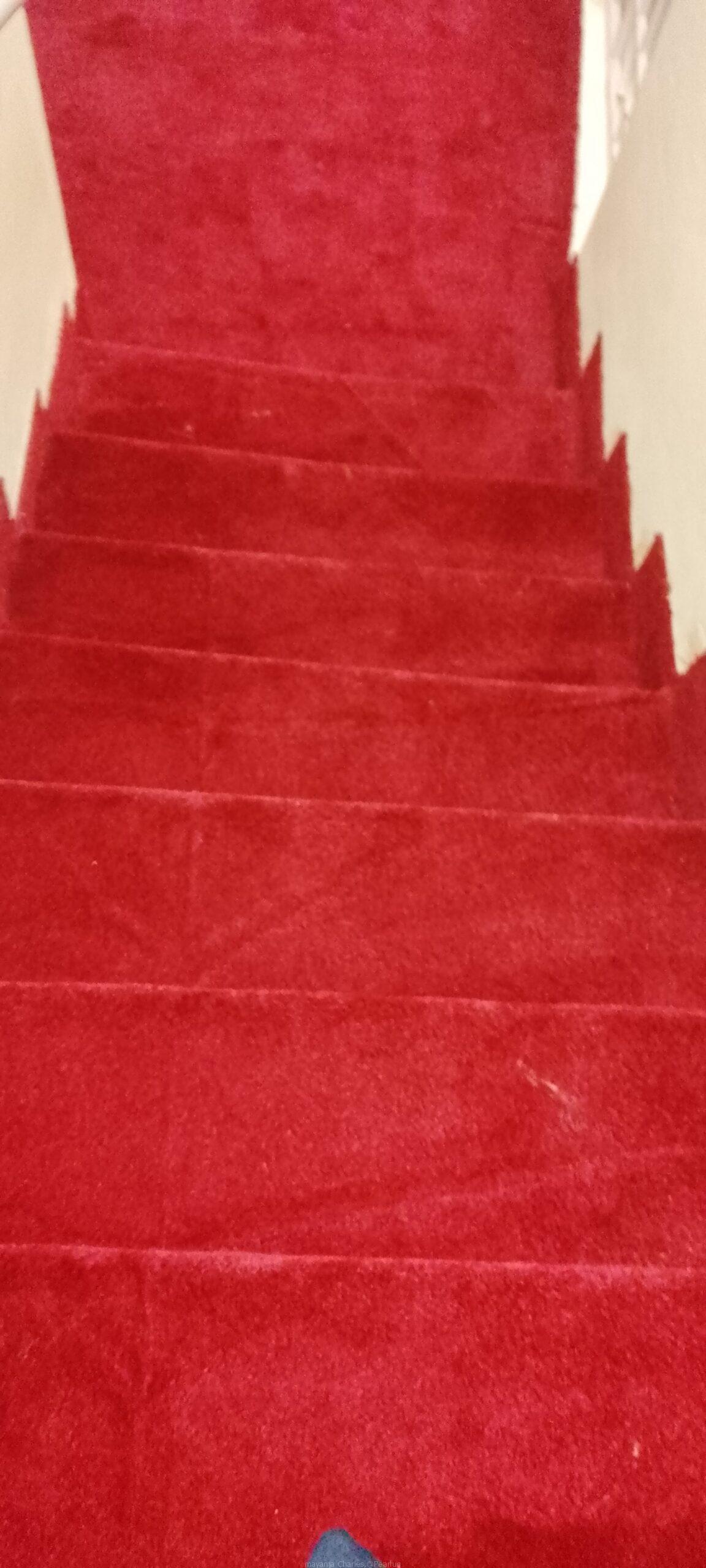 Galaxy carpet available