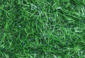 SPORTS TURF