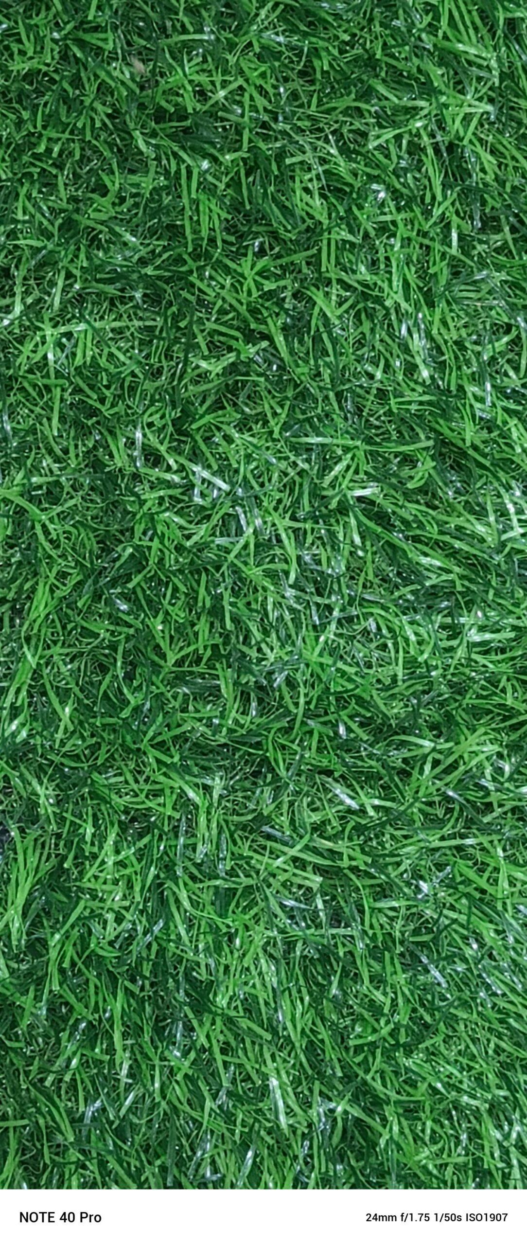 SPORTS TURF