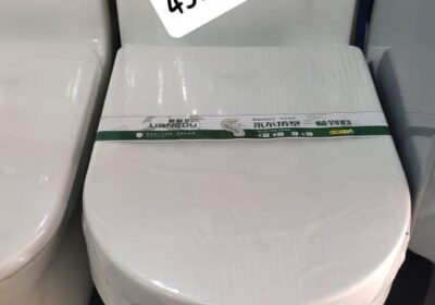 1000106283