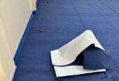 Carpet