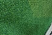 Green carpet available