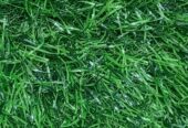 GREEN CARPETS AVAILABLE