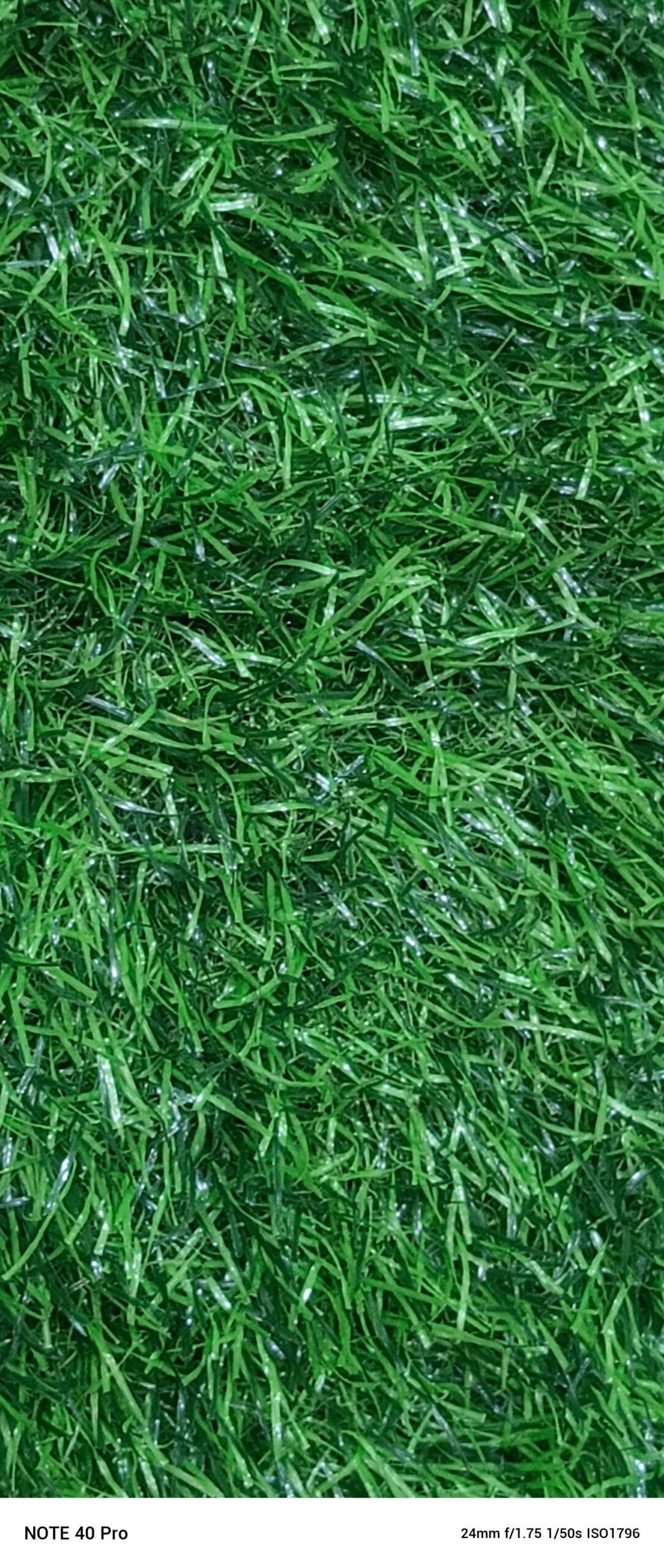GREEN CARPETS AVAILABLE