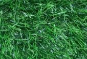 GREEN CARPETS AVAILABLE
