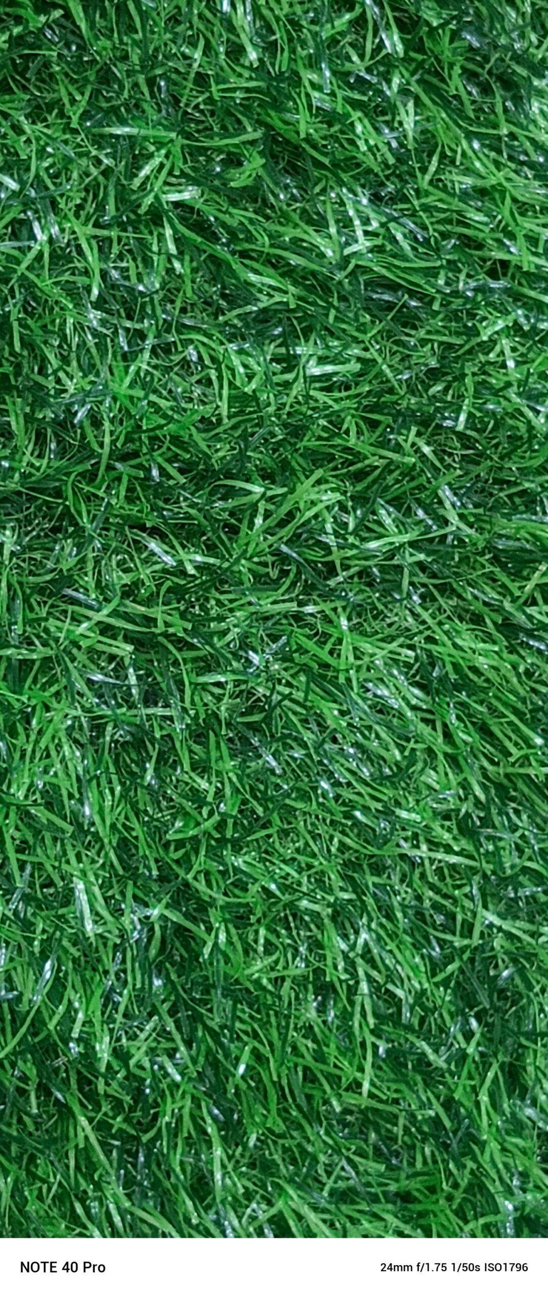 GREEN CARPETS AVAILABLE