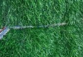 GREEN CARPET