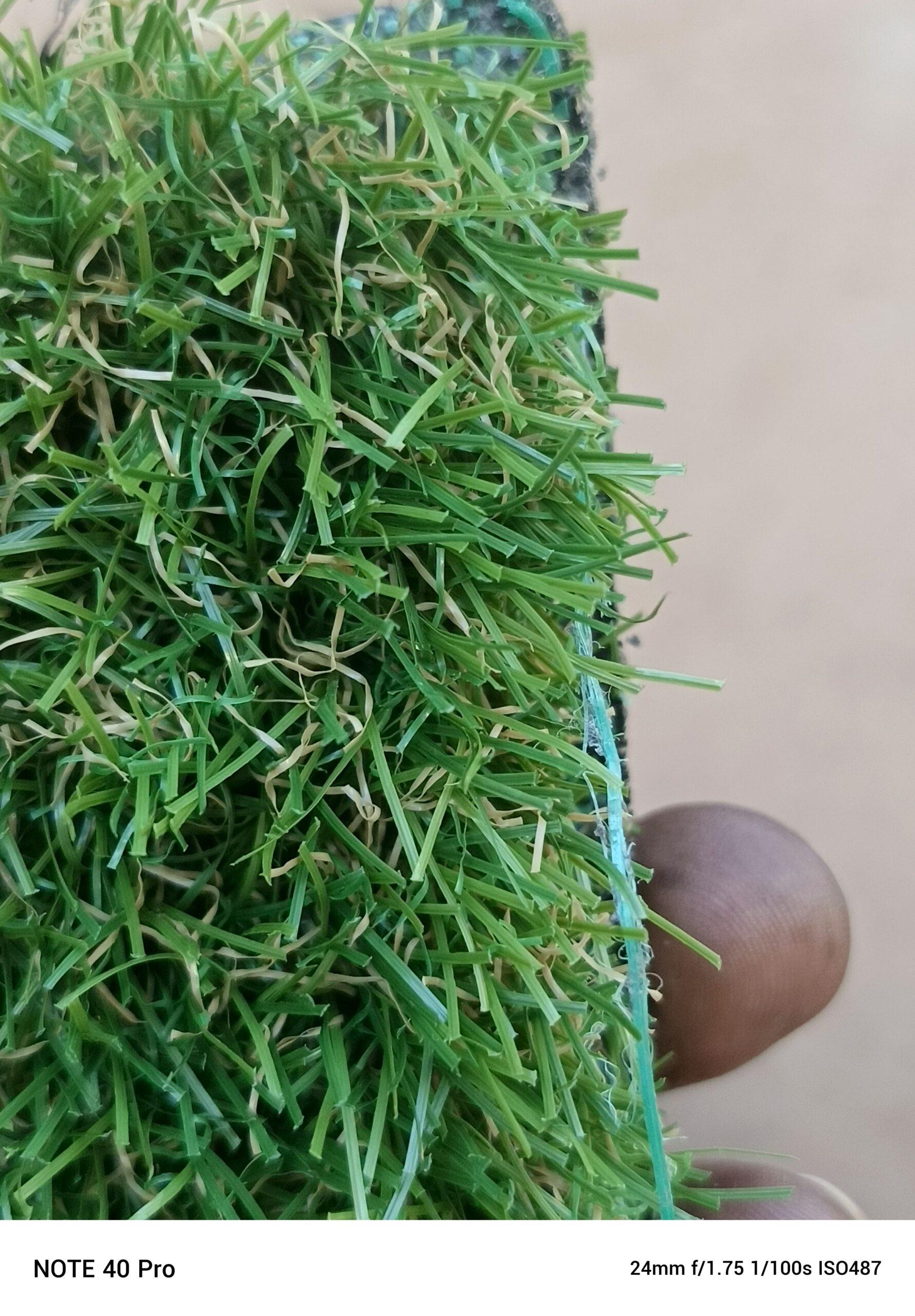 Green carpet available
