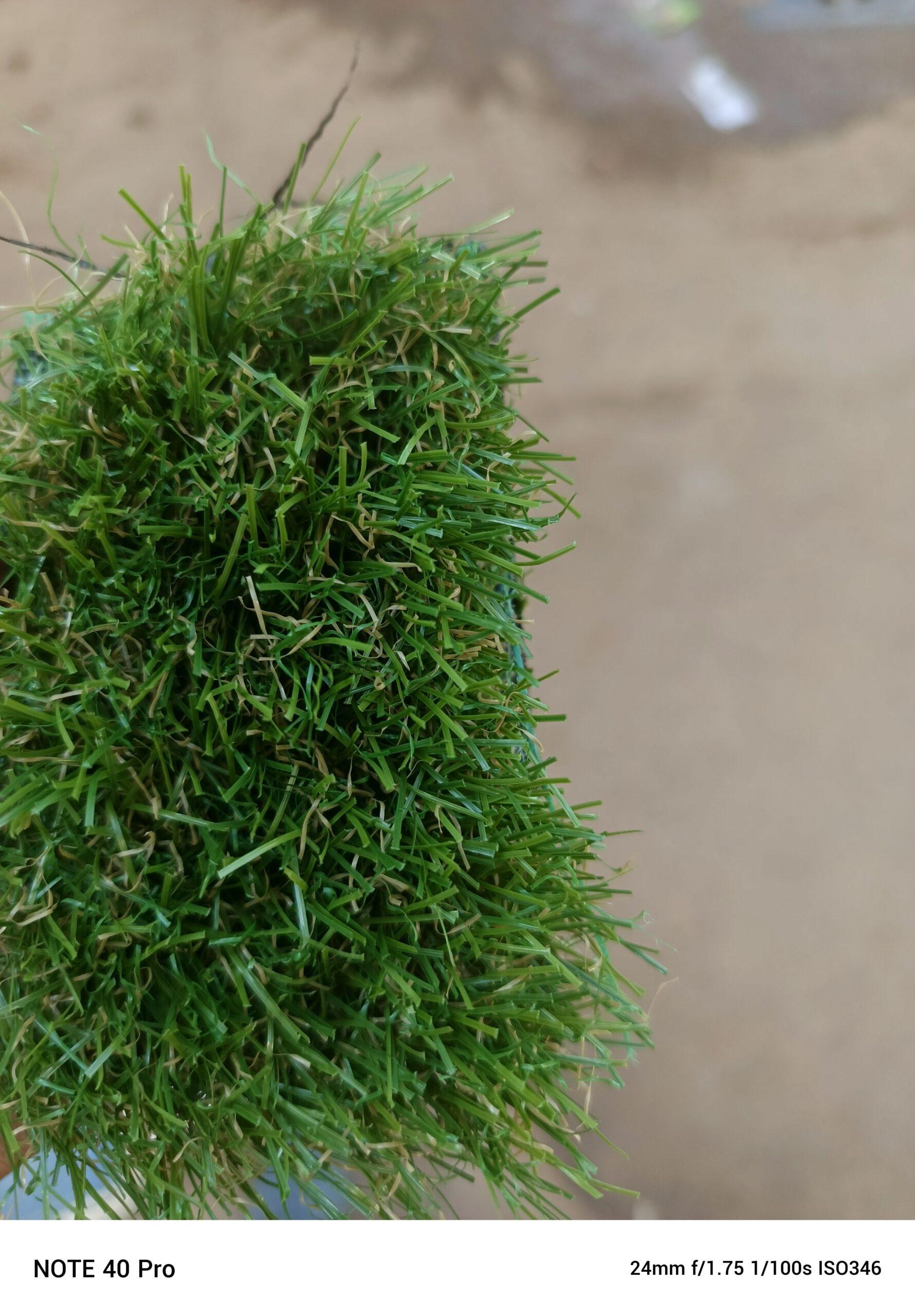 GREEN CARPET AVAILABLE