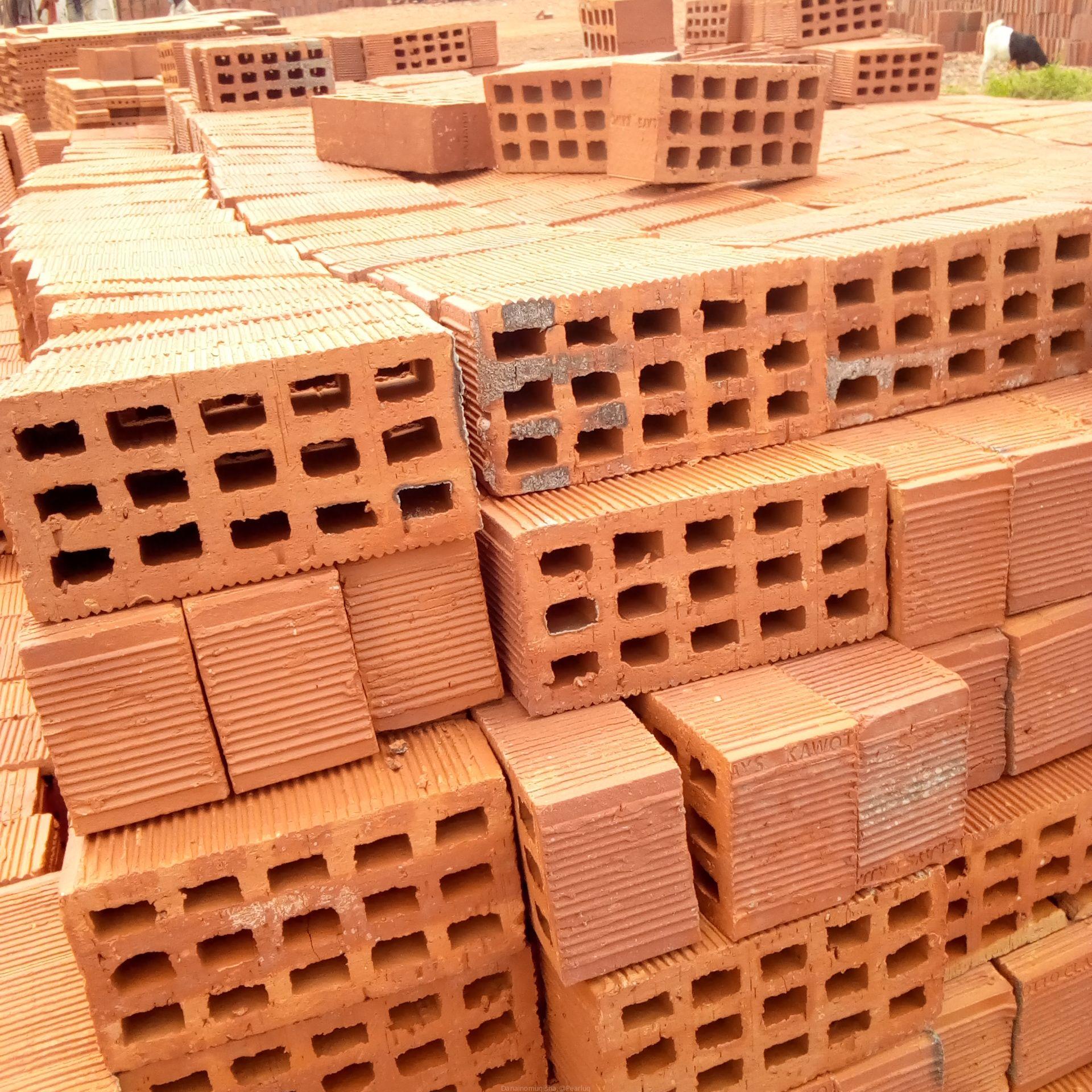 Selected Bricks