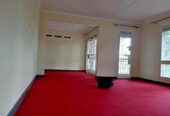Wall to wall woolen carpets