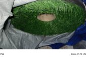 GREEN CARPET AVAILABLE
