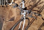 Road race sport bicycle
