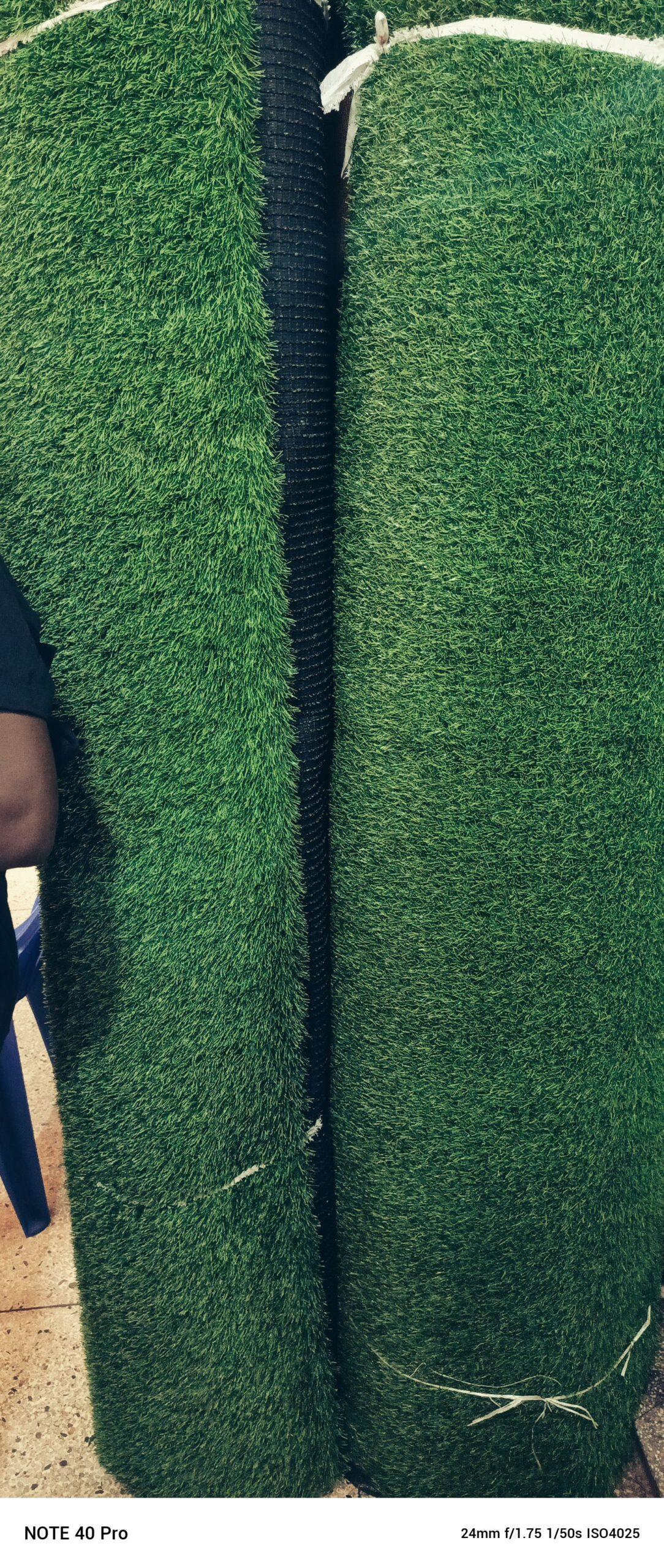 GREEN CARPET AVAILABLE