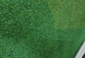 Green carpet available