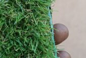 Green carpet available