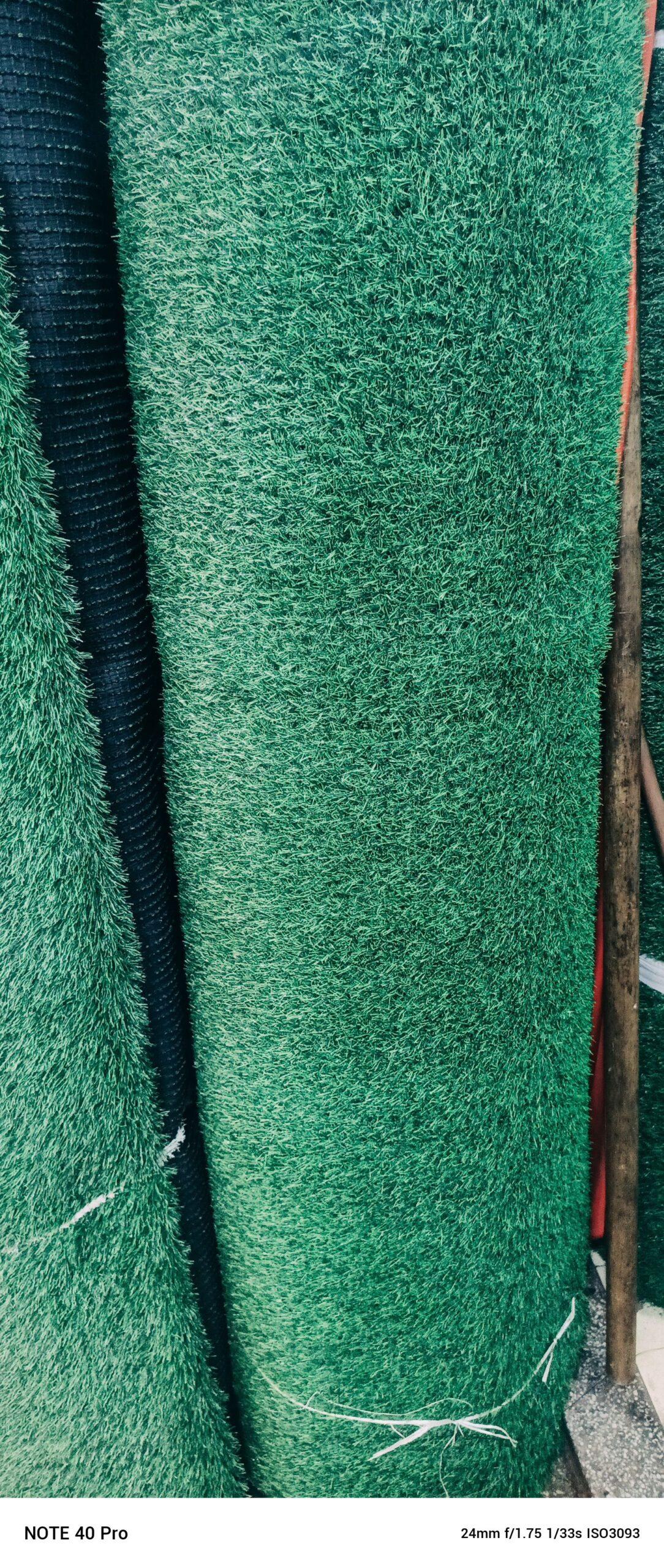 GREEN CARPET AVAILABLE