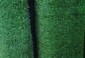 GREEN CARPET AVAILABLE
