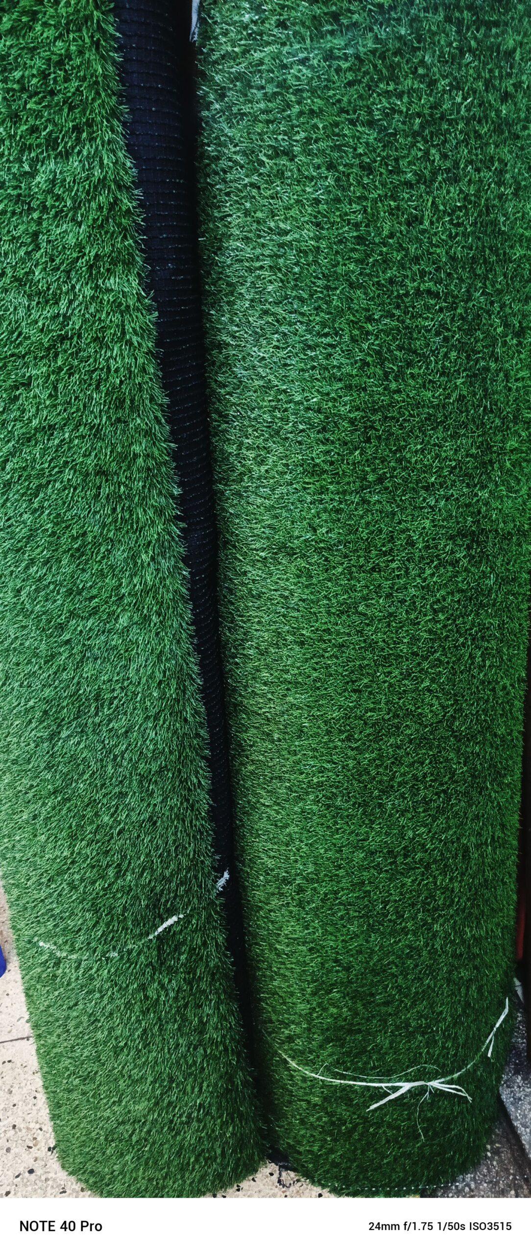 GREEN CARPET AVAILABLE