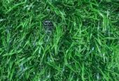 GREEN GRASS