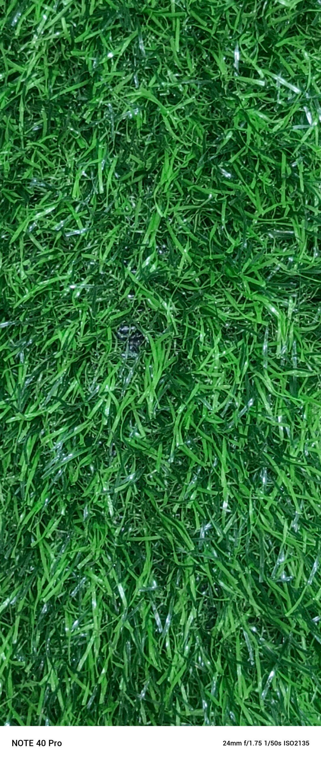 GREEN GRASS