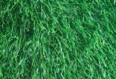 GREEN CARPETS