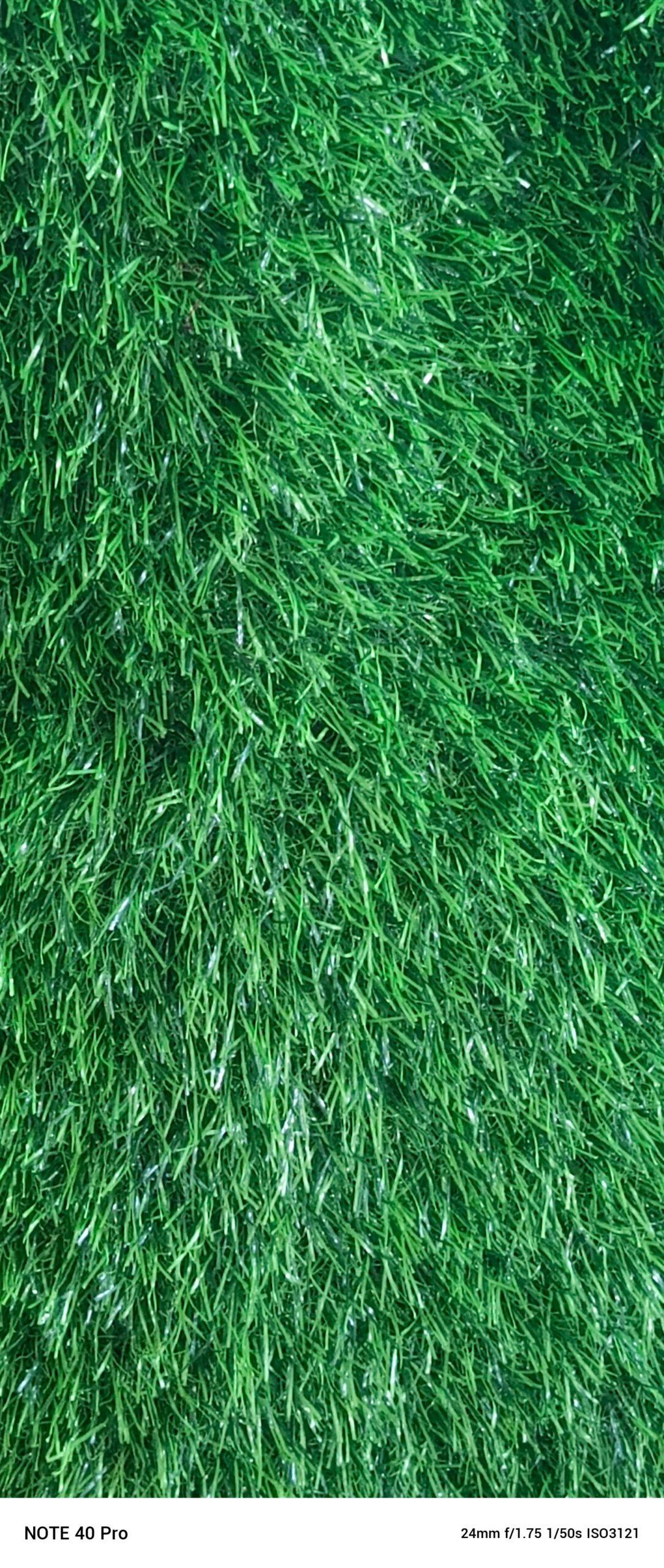 GREEN CARPETS