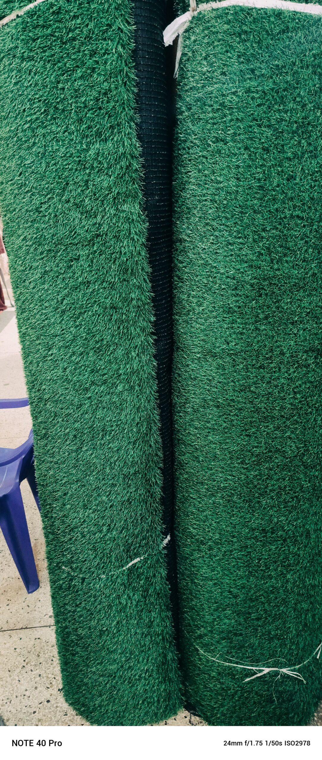 GREEN CARPET AVAILABLE