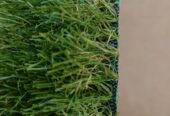 GREEN CARPET AVAILABLE