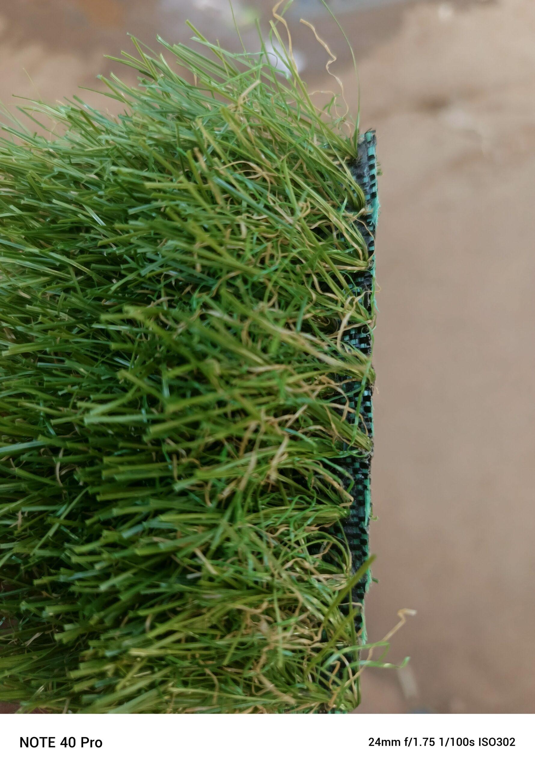 GREEN CARPET AVAILABLE