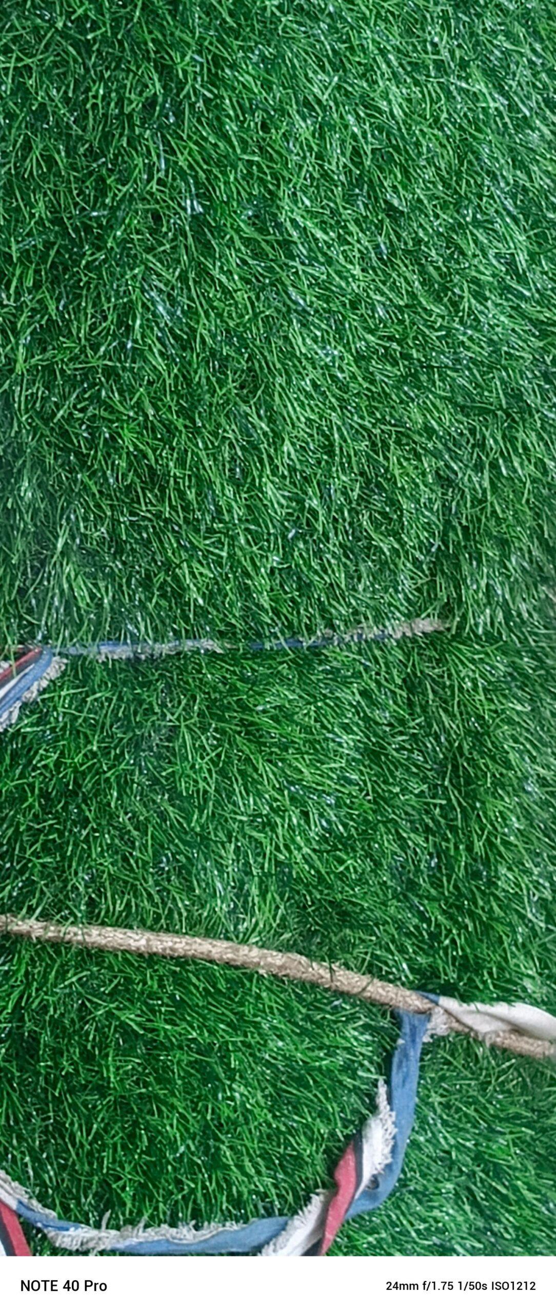 Green carpet