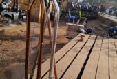 Walking sticks