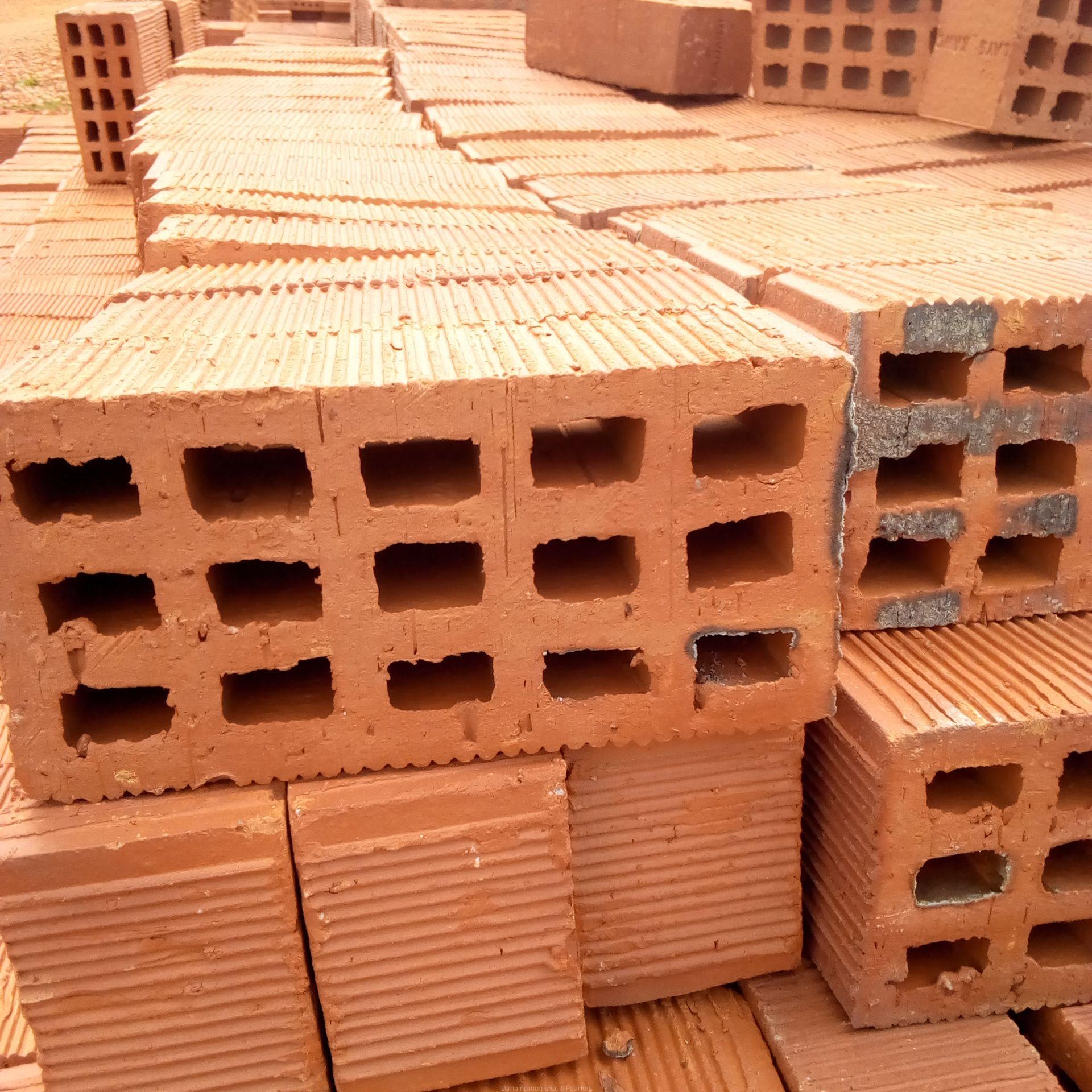 Selected Bricks