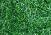 SPORTS TURF