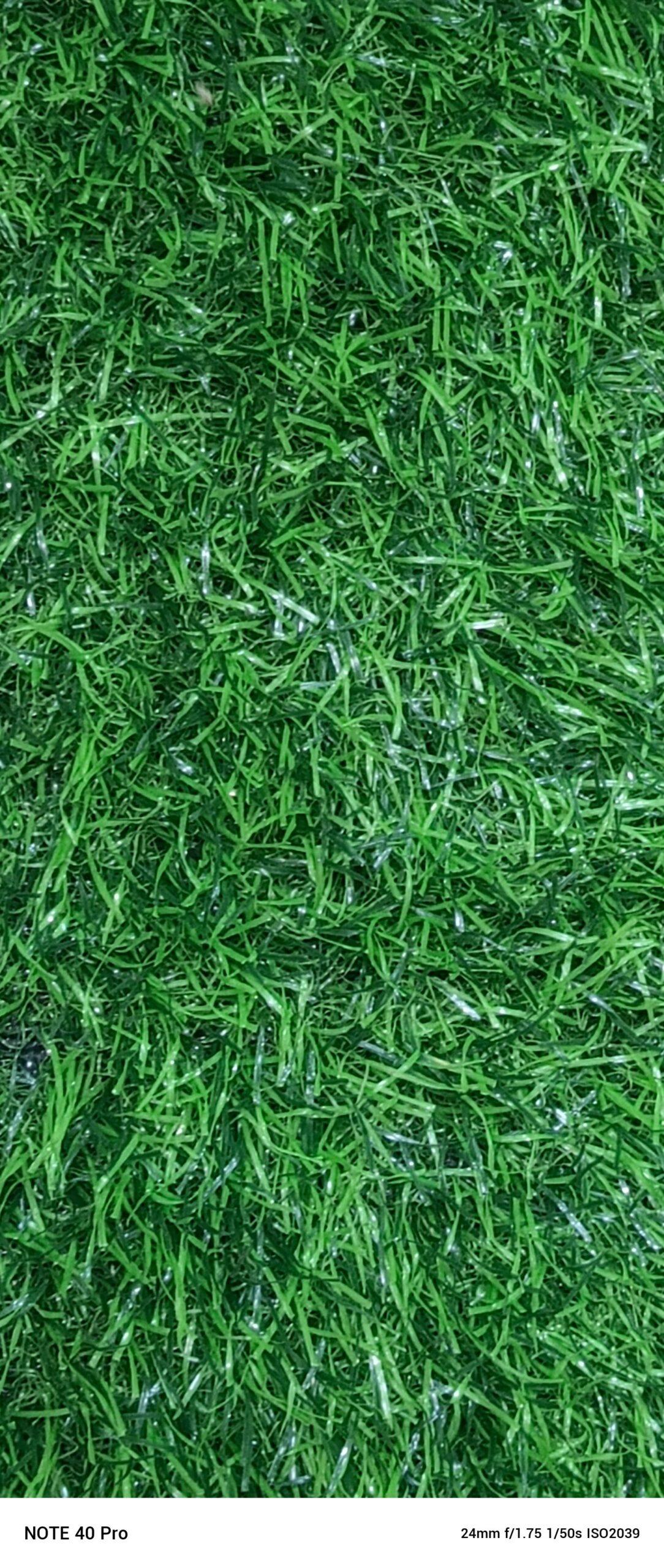 SPORTS TURF