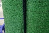GREEN CARPET