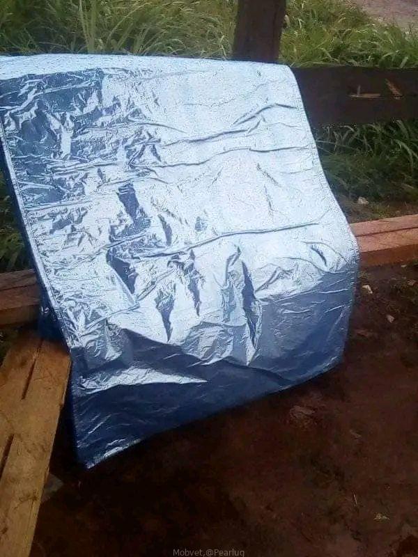 Silage bags