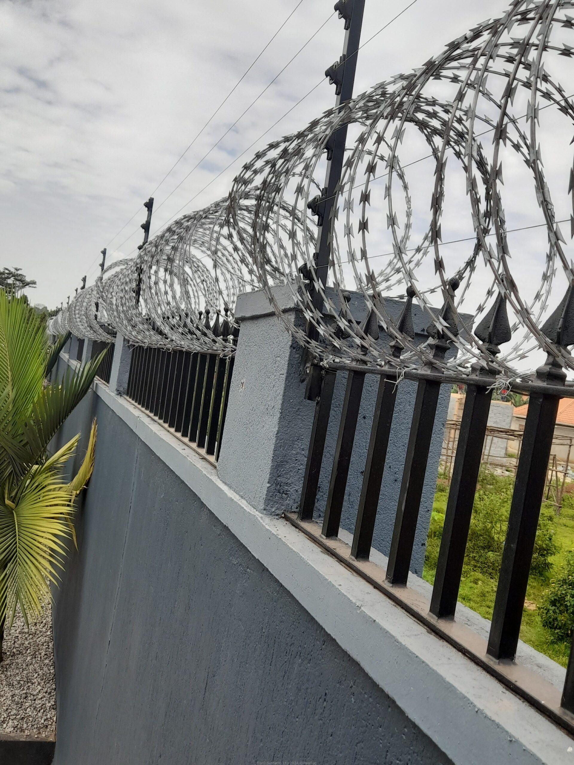 Electric fence system with razor wire fencing